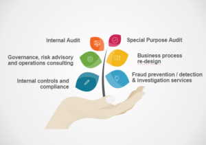 Optimistt Solutions - Audit-and-risk-advisory